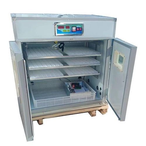 528 Egg Incubator (imported)